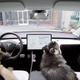 Imagen para el artículo titulado Los Tesla ahora tienen un Modo Perro que controla el climatizador cuando dejamos el perro dentro del coche